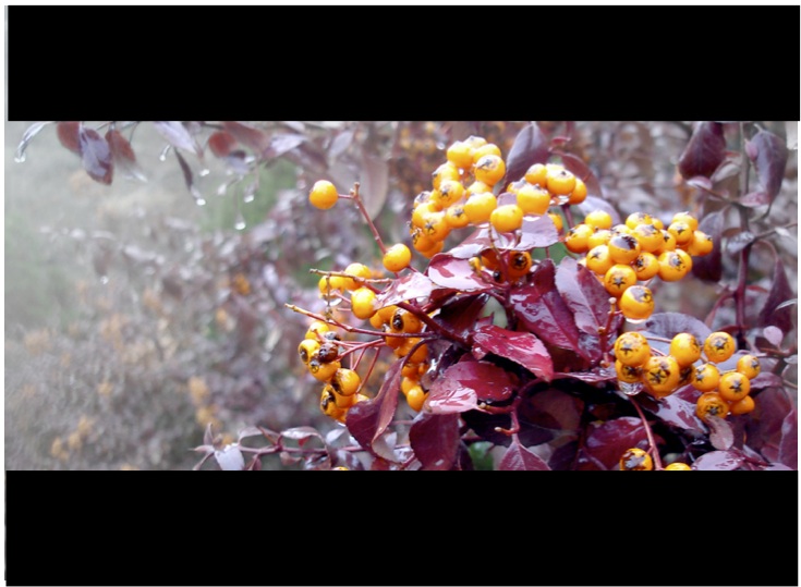 Take Our Event and Meeting Planning Quiz! - Quiz